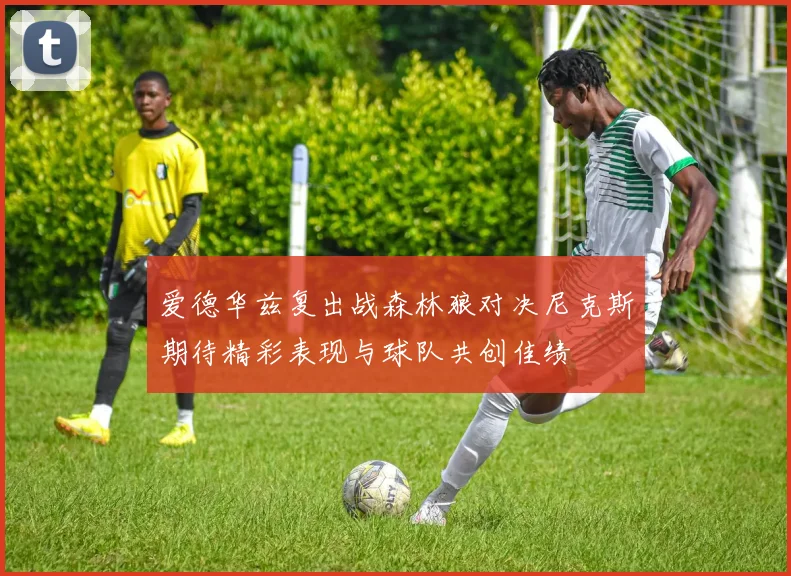 爱德华兹复出战森林狼对决尼克斯期待精彩表现与球队共创佳绩